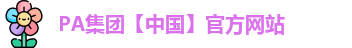 PA集团